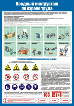 С152 Вводный инструктаж по охране труда (700х1000 мм, пластик ПВХ 3мм, Прямая печать на пластик)  - Стенды - Стенды по охране труда - ohrana.inoy.org